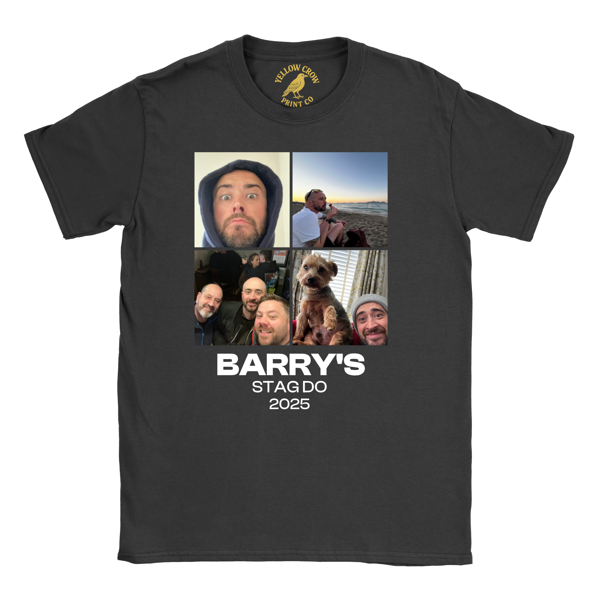 Stag 4 Pictures T-Shirt