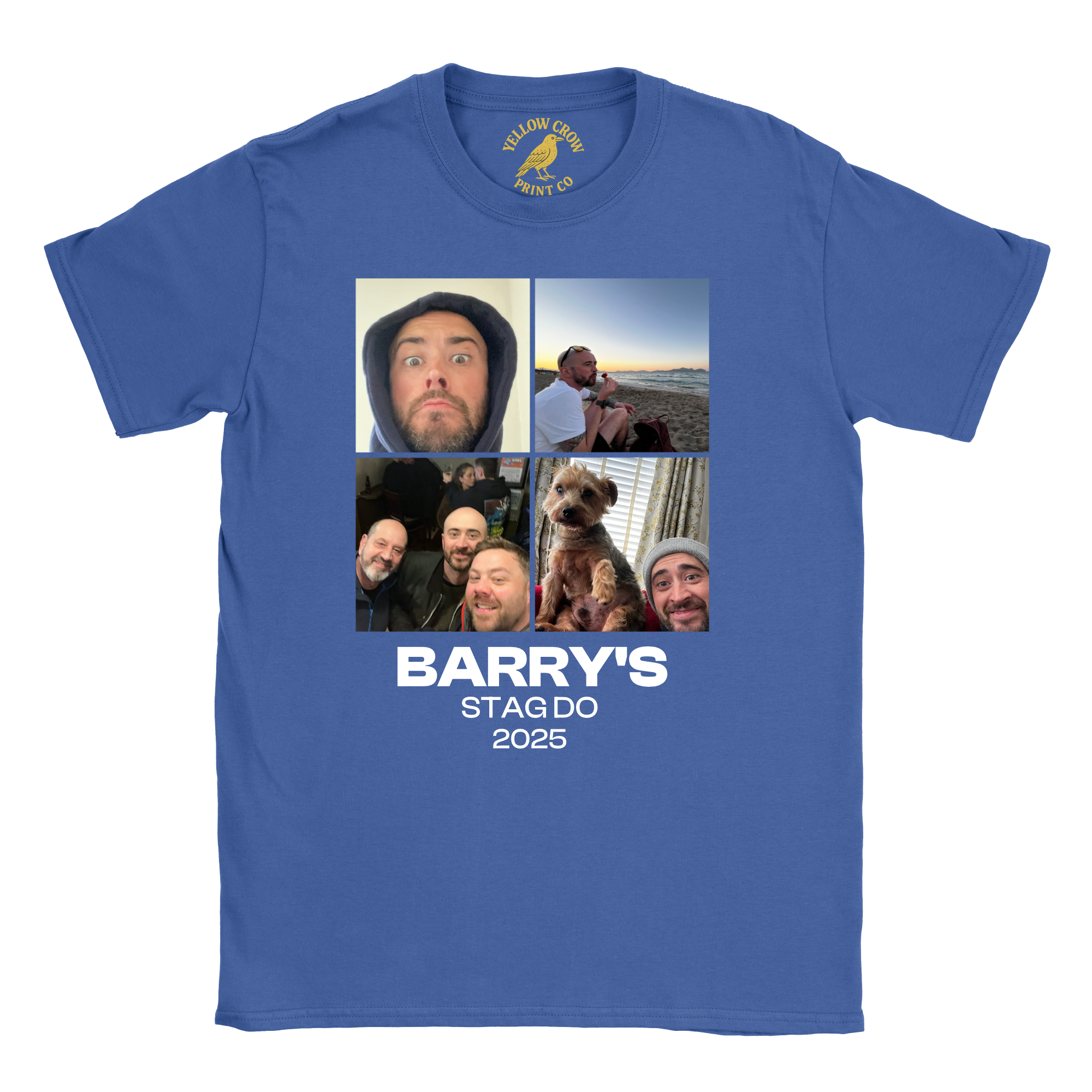 Stag 4 Pictures T-Shirt