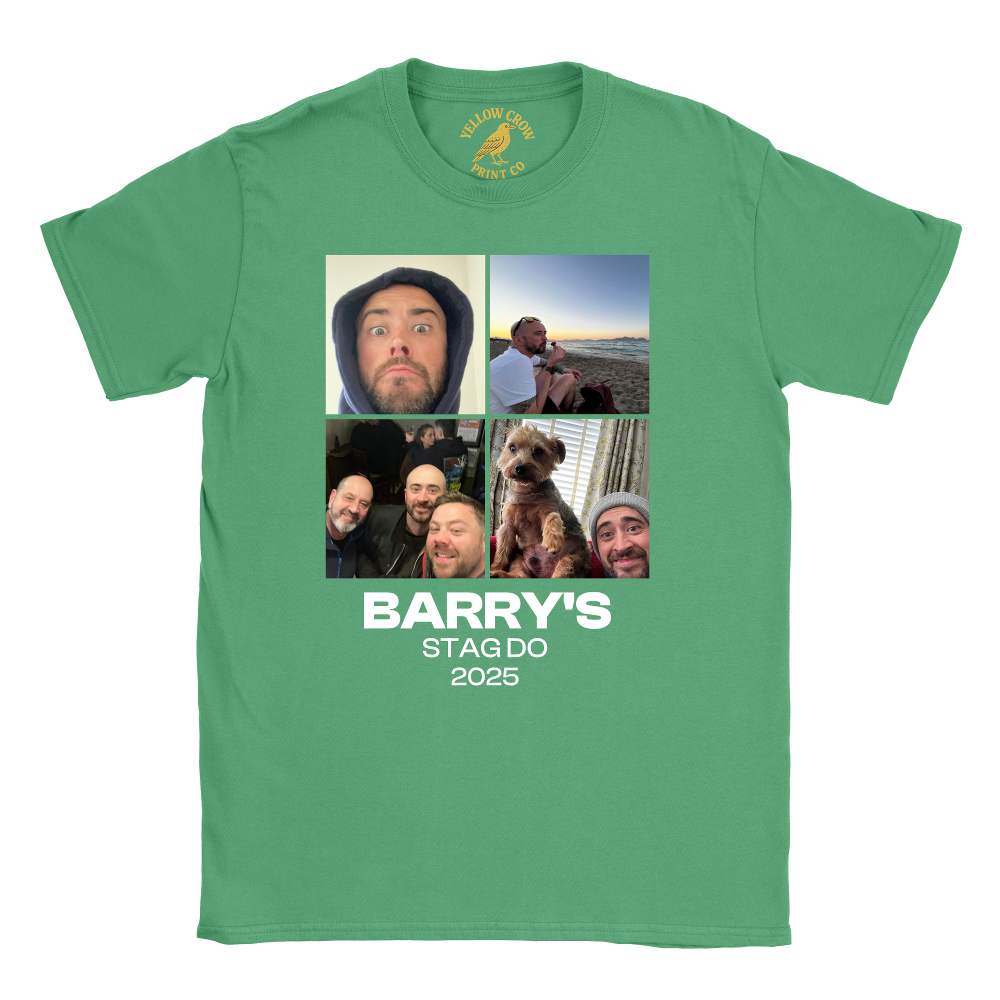 Stag 4 Pictures T-Shirt