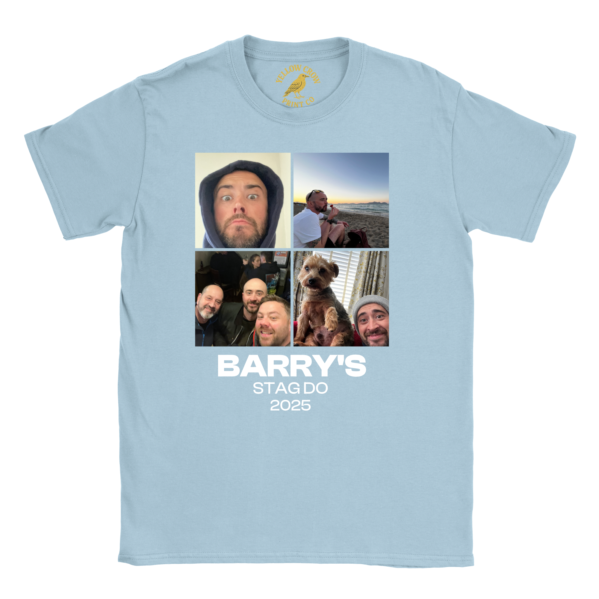 Stag 4 Pictures T-Shirt