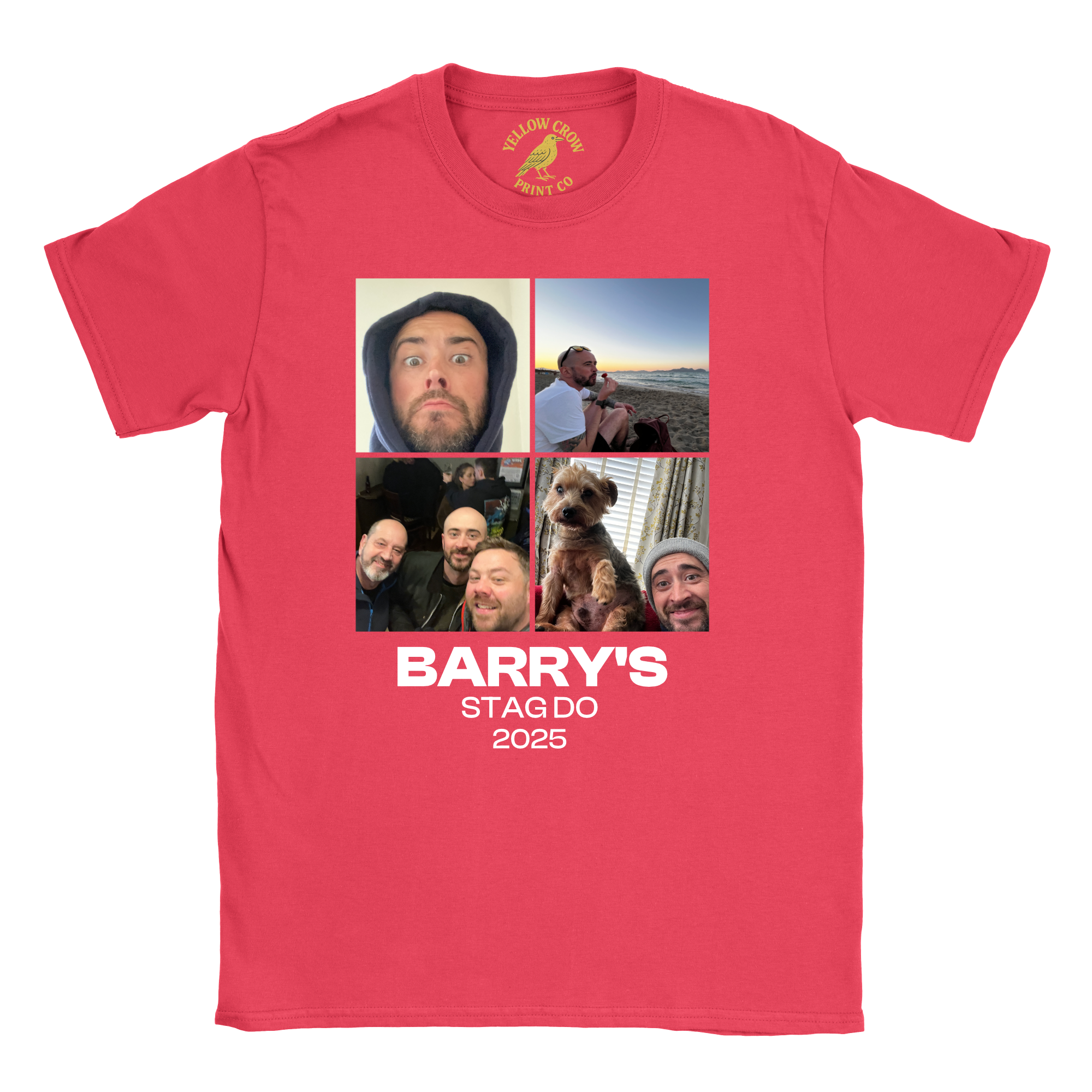 Stag 4 Pictures T-Shirt