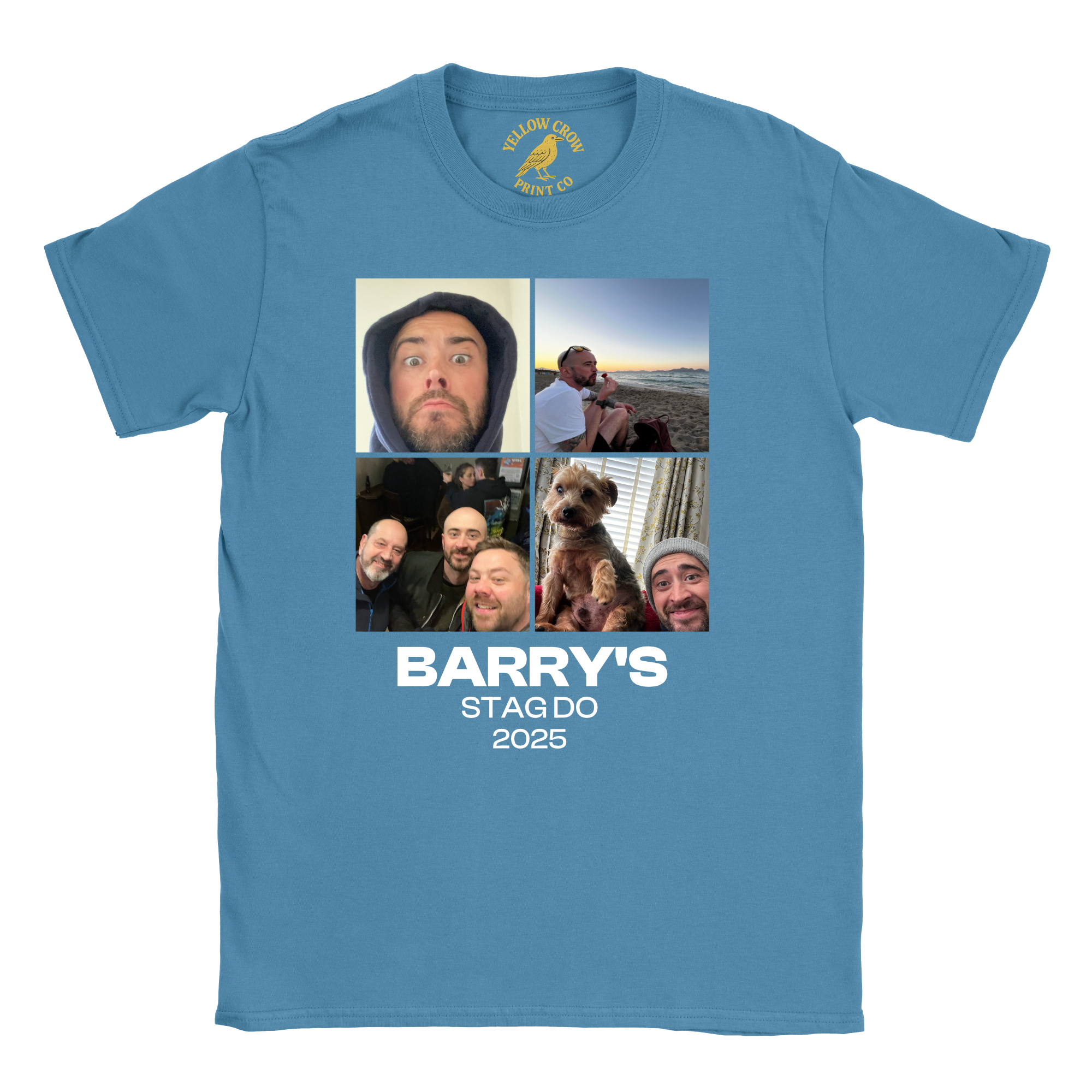 Stag 4 Pictures T-Shirt