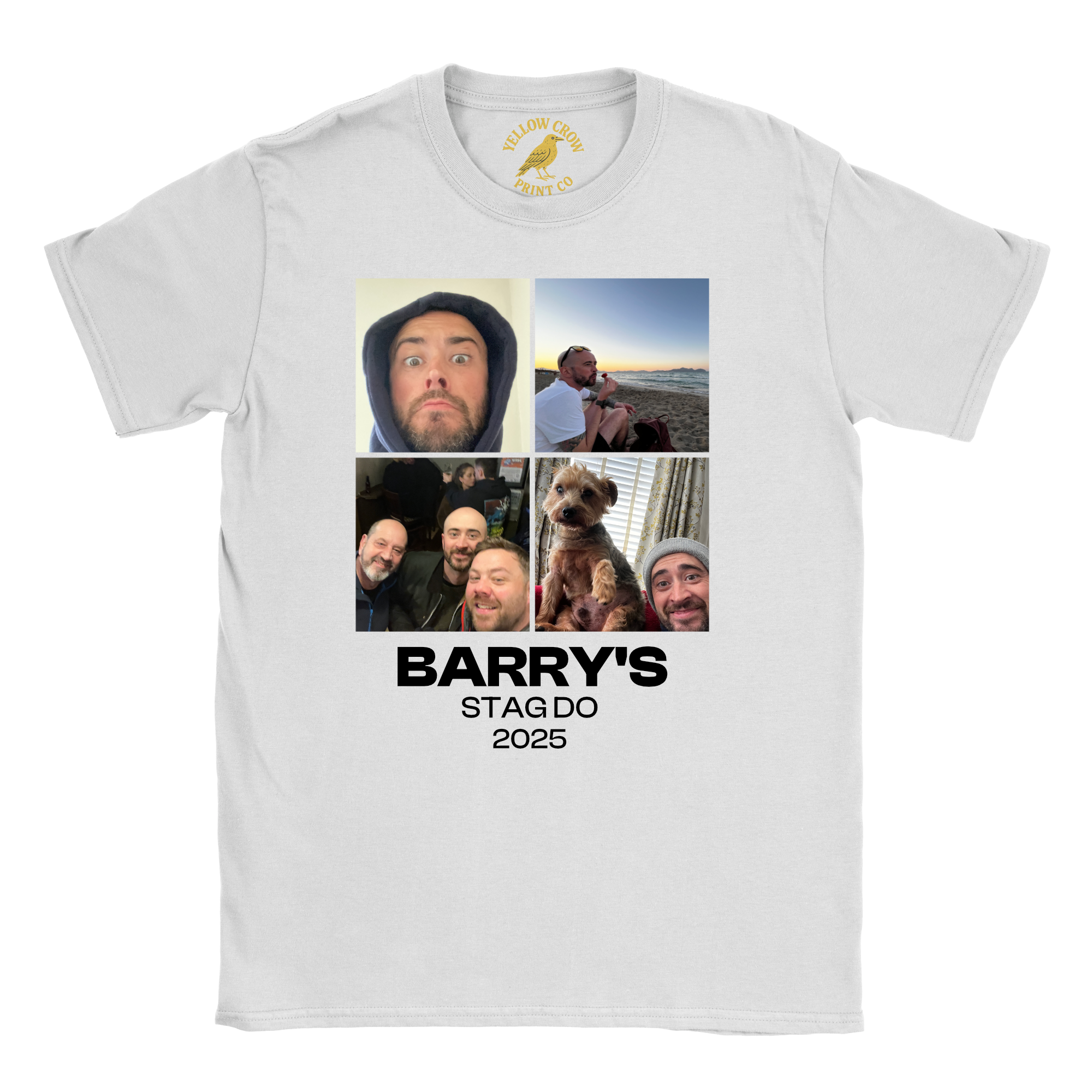 Stag 4 Pictures T-Shirt