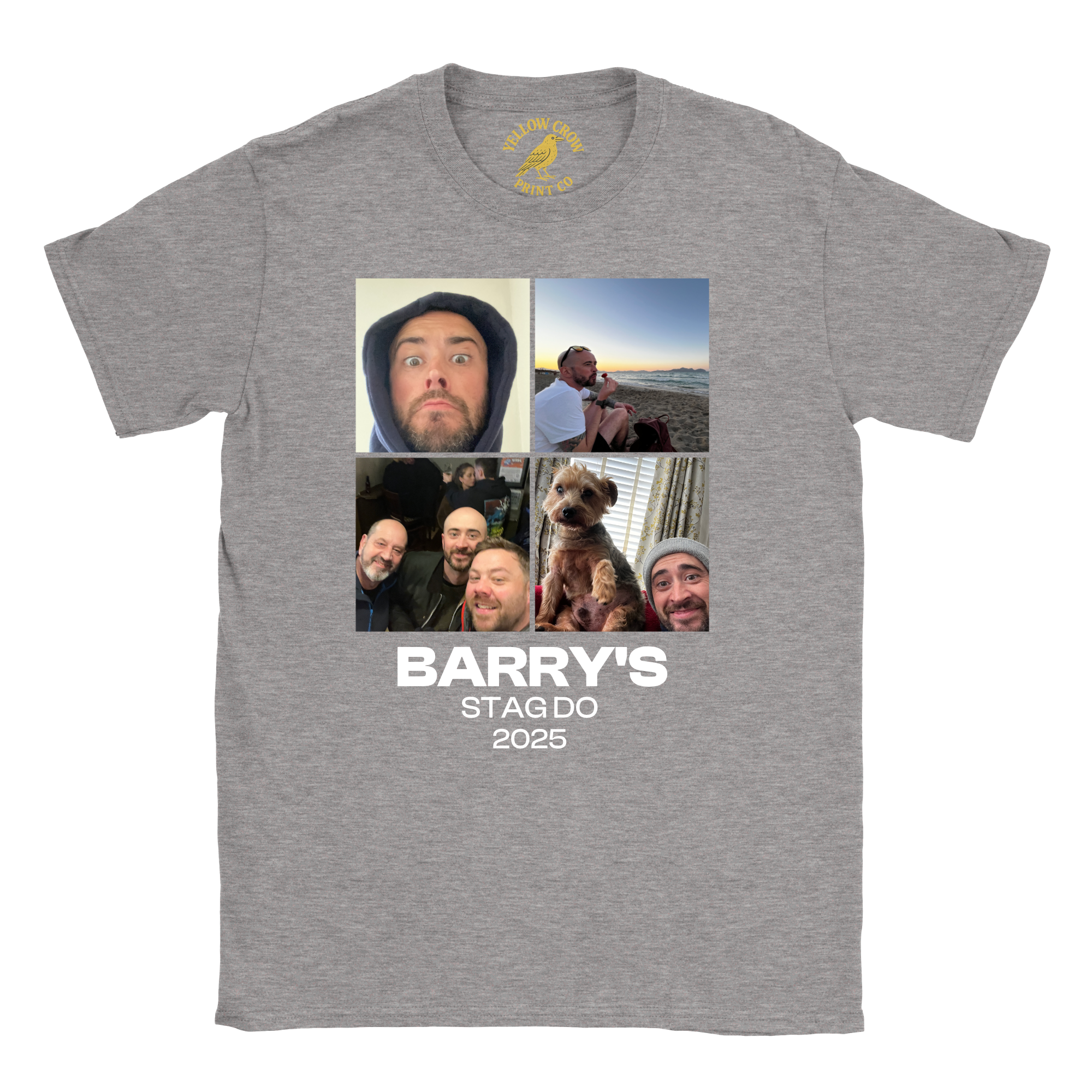 Stag 4 Pictures T-Shirt