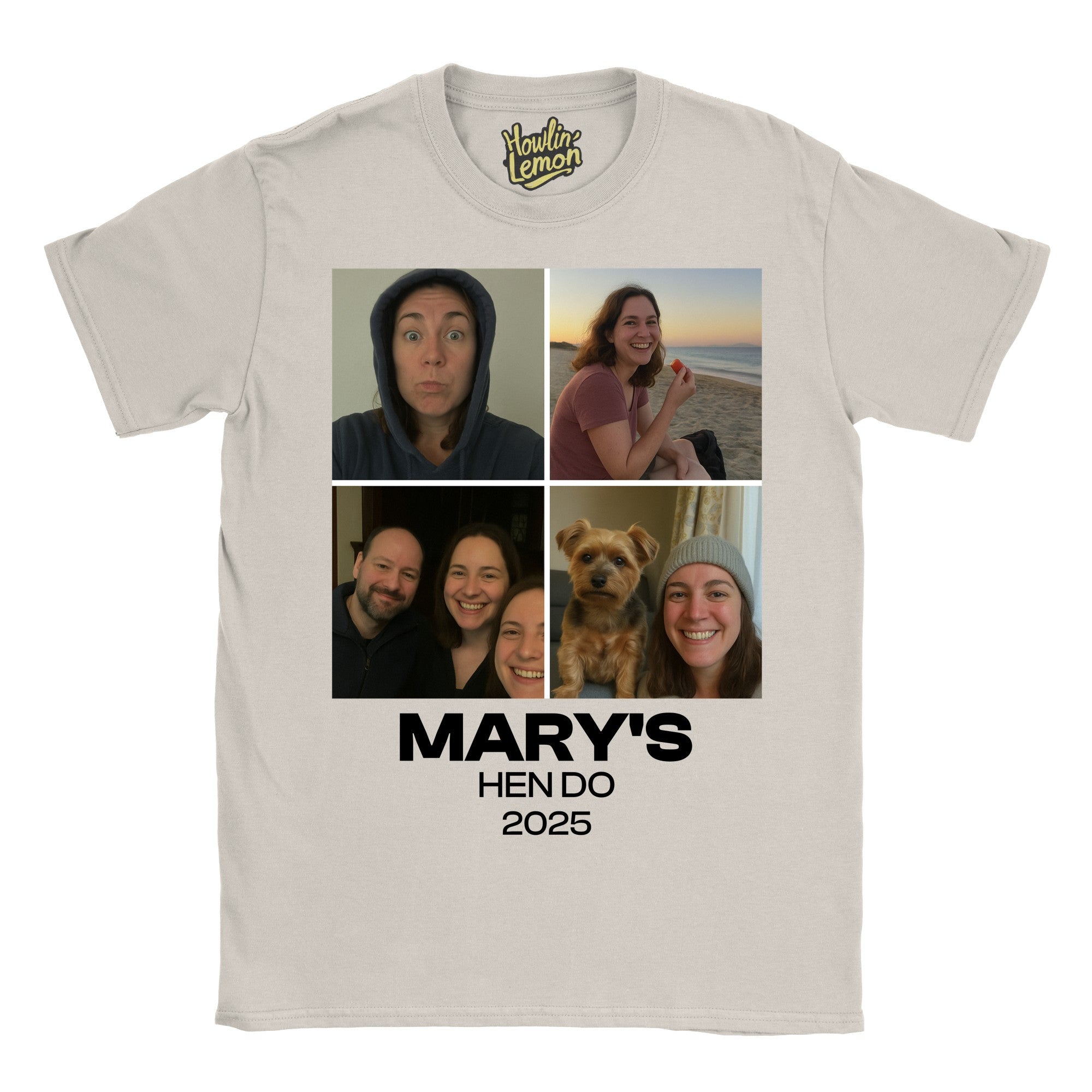 Hen 4 Pictures T-Shirt
